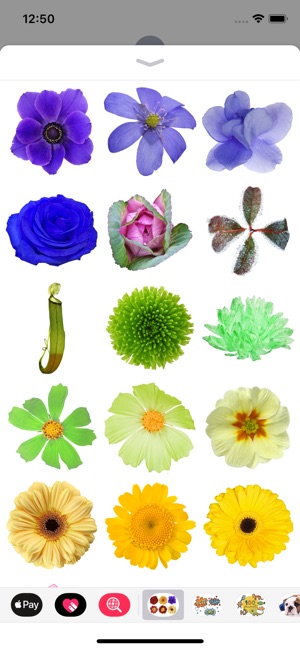 100+ Flower Stickers(圖2)-速報App