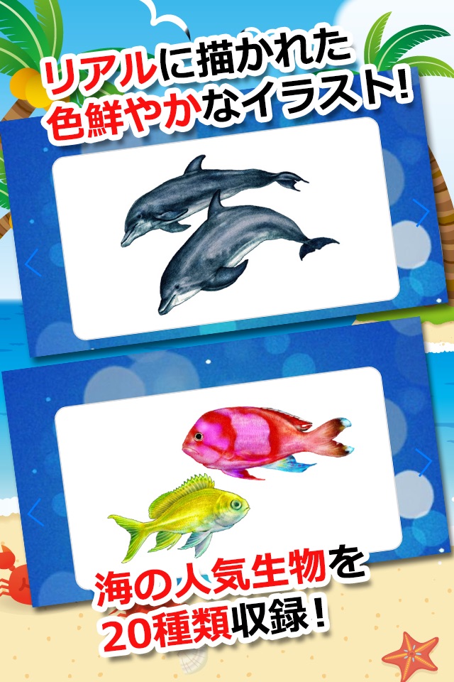 みんなの海の生き物カード screenshot 2