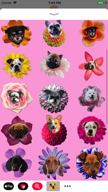Puppy Bouquet