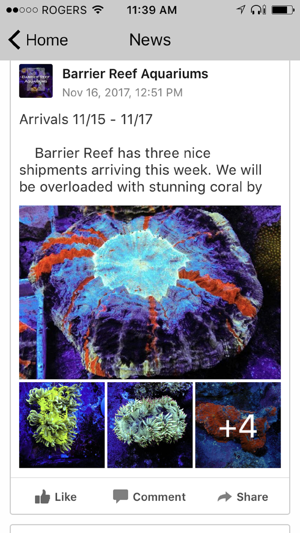 Barrier Reef Aquariums(圖5)-速報App