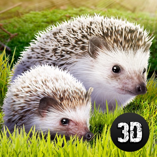 Forest Hedgehog Survival Simulator 3D icon