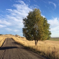 Faith Family Reunion