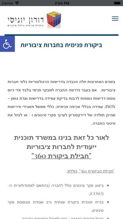 ביקורת פנימית בישראל screenshot 3