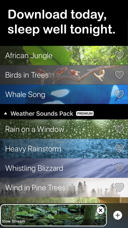 Rain Rain Sleep Sounds screenshot-3