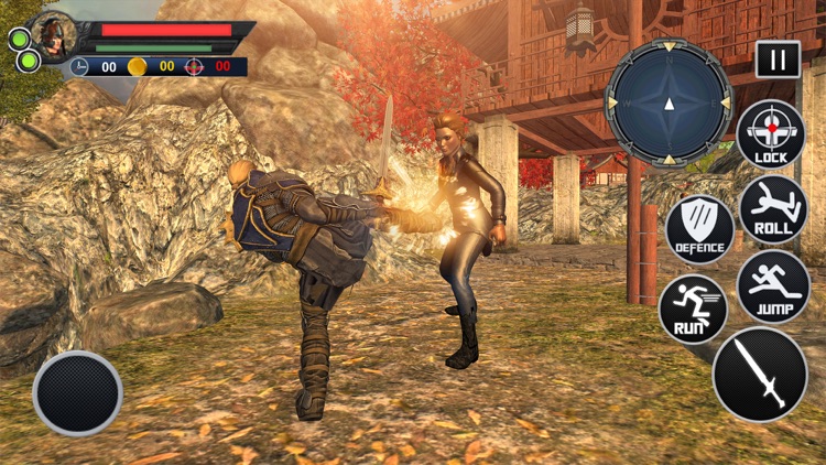 Super Iron Medieval Fighting screenshot-3