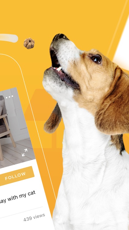 Petcube