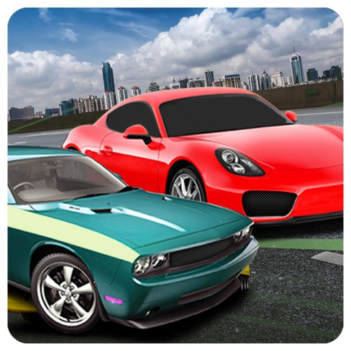 Highway Fast Car Traffic Chase icon