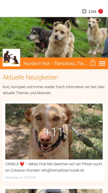 Hunde in Not - Tierschutz