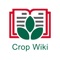 CropWiki EWS is East-West Seed’s detailed catalog app, filled with physical and genetic crop information you can access at your fingertips, wherever you are