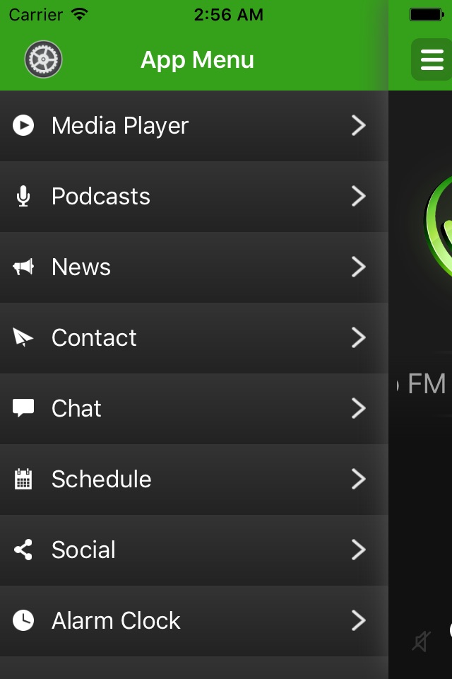 Vibes Link FM 96.1 screenshot 3