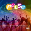 .113FM Pulse