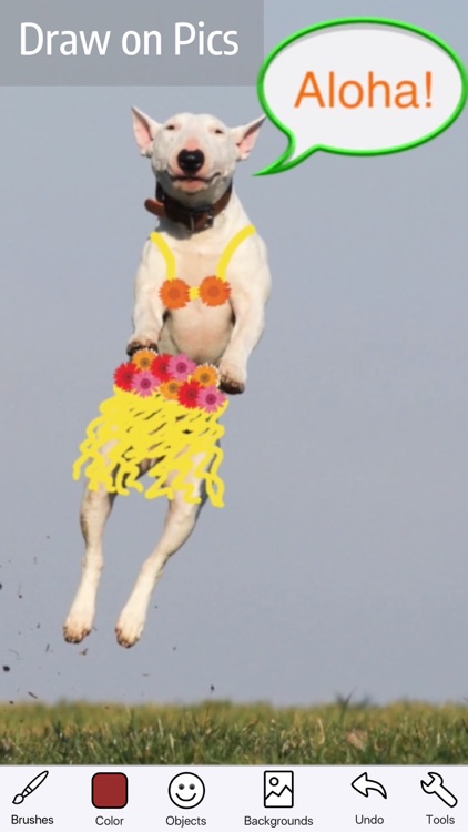 Doodle Lab Paint & Drawing App screenshot-0