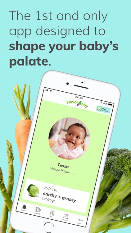 FlavorBaby – Veggies First