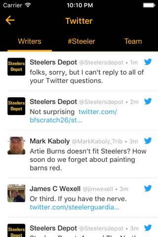 Steelers UltimateFan screenshot 3