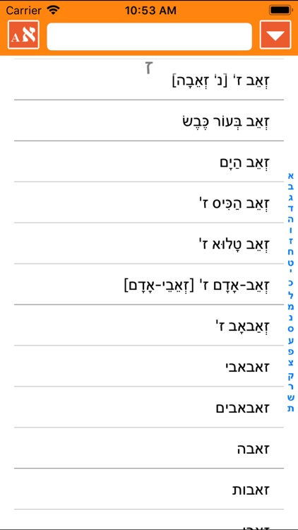 IRIS Hebrew Russian Dictionary screenshot-1