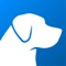 Simba is the #1 app for social dogs
