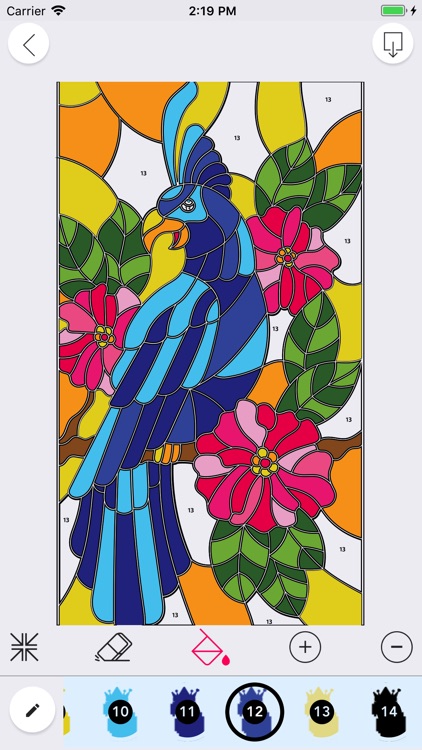 Paint Number Coloring