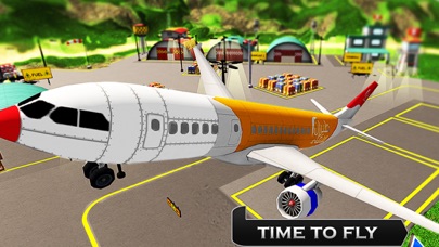 Airplane Flight-Simulator 3d screenshot 2
