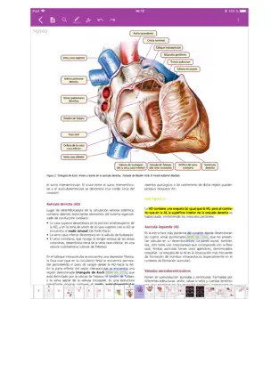Captura 3 Manuales AMIR 2.0 iphone