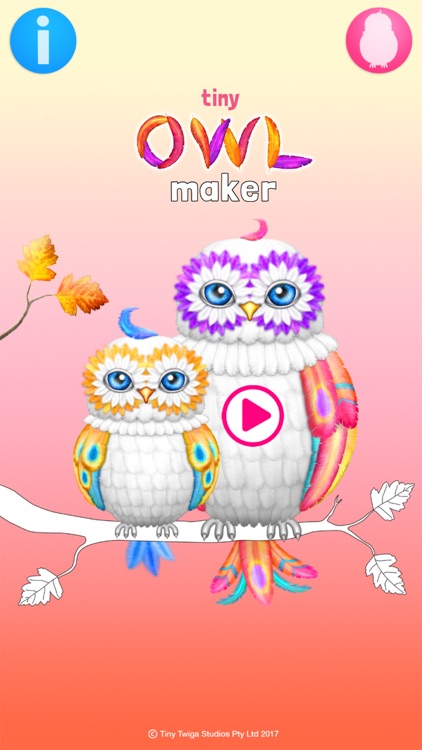 Tiny Owl Maker screenshot-0