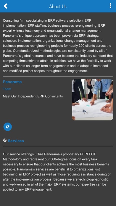 PCS - ERP Consultants screenshot 2