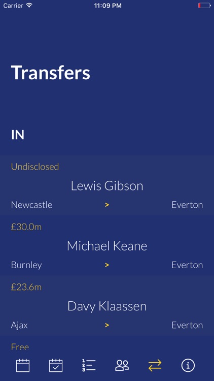 Team Everton screenshot-4