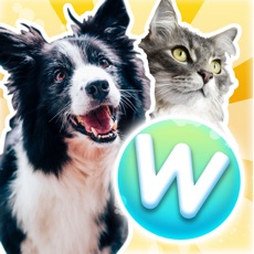 Activities of Word Pets - Furry Friends