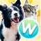 Icon Word Pets - Furry Friends