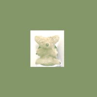 mignon koala pour PC