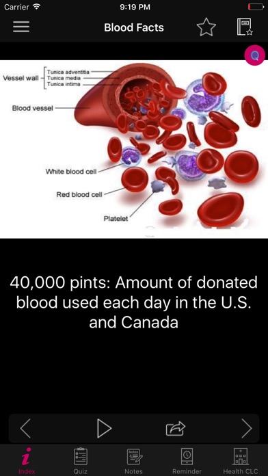 Human Anatomy Blood Facts 2000 screenshot 2
