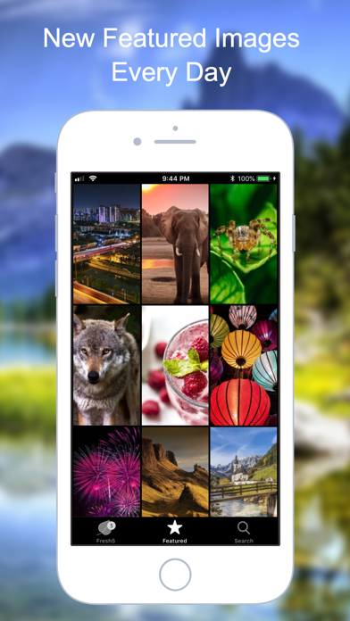 How to cancel & delete Fresh 5 -Wallpapers Background from iphone & ipad 3