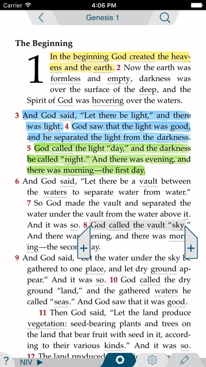 NIV Essentials Study Bible