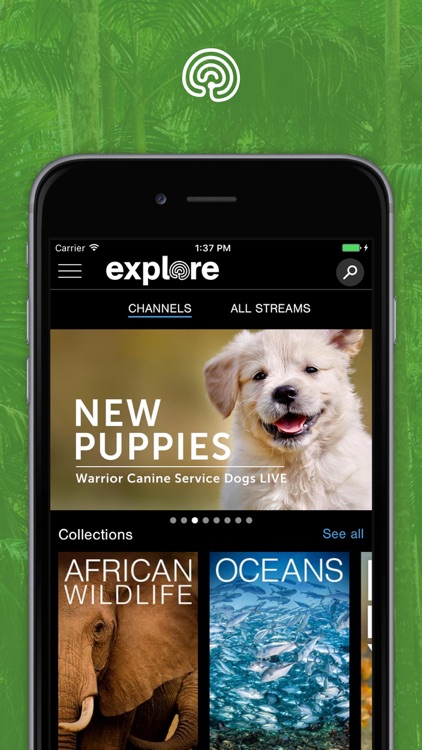 explore.org