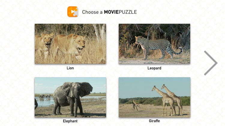 MoviePuzzles – Wild Animals screenshot-0