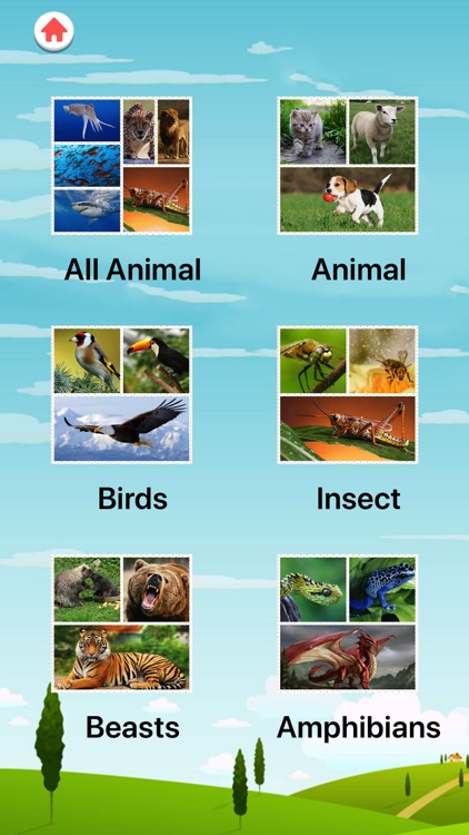 Animal Sounds, Quiz and Learn