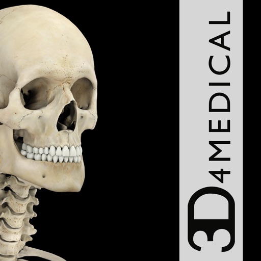 Skeleton System Pro III-iPhone Icon