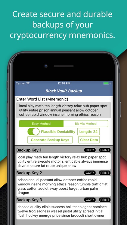 Block Vault Crypto Coin Backup