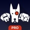 Most famous application for VKontakte on iOS