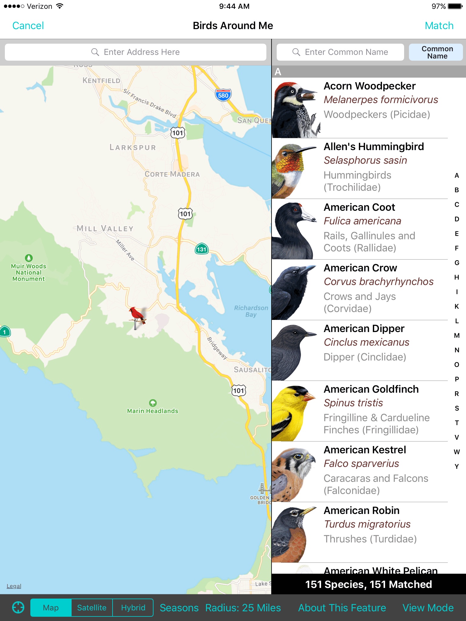 iBird Yard+ Guide to Birds screenshot 3