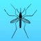 Going on Holiday, Don't let mosquitoes ruin it