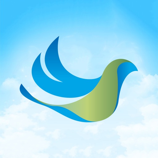 India Birds