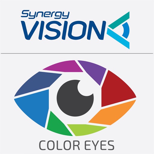 Synergy Vision