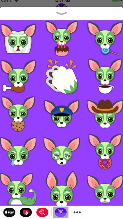 Saint Patrick's Day Chihuahua screenshot-4