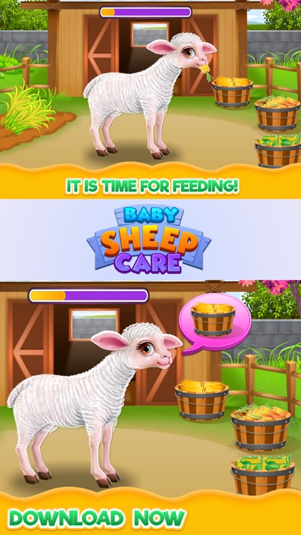 Baby Sheep Care