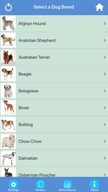 Dog Breeds Quizzes screenshot-5