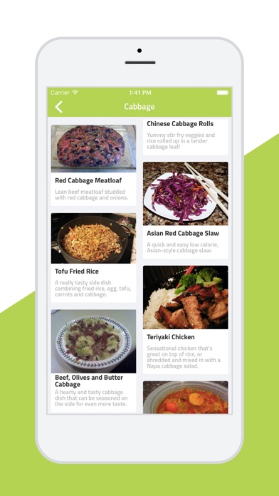 Easy Veggie-healthy recipes screenshot 4