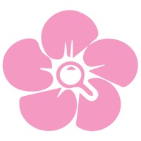 Info-IndoorPlants PC 용