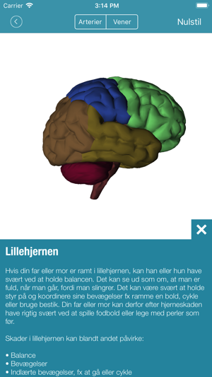 HjerneHjælper App(圖2)-速報App