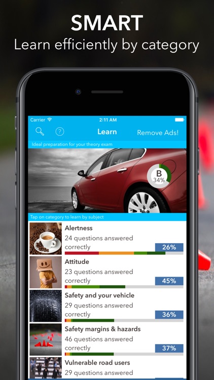Driving Theory Test Car UK