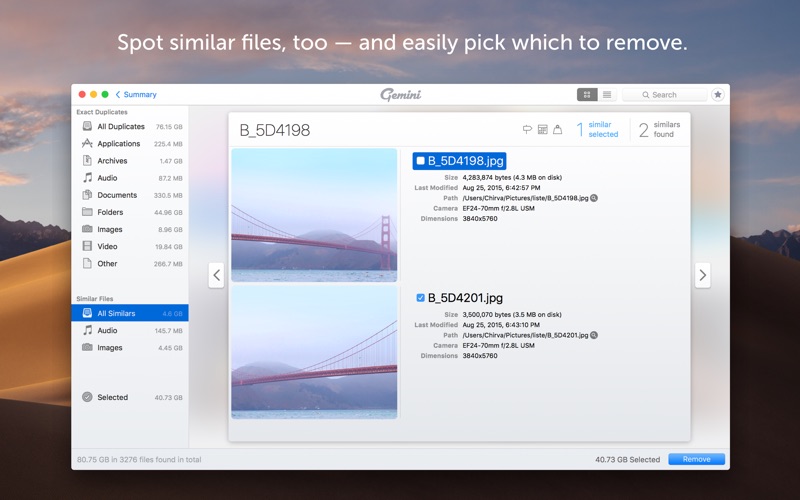 Gemini_2_The_Duplicate_Finder.app caprure 2 2_Gemini_2_The_Duplicate_Finder.jpg